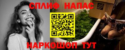 спиды Будённовск