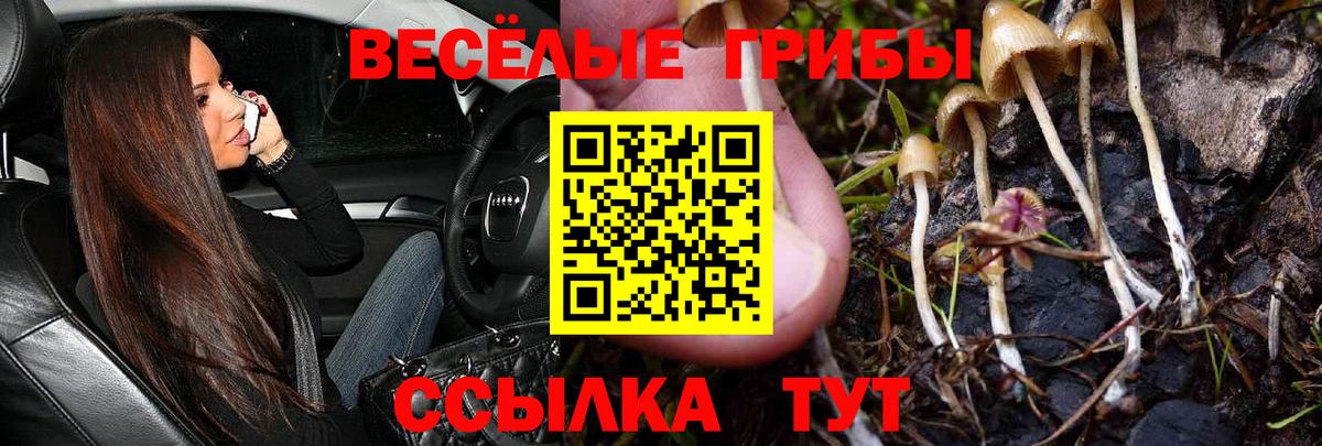 Псилоцибиновые грибы прущие грибы  Галлюциногенные грибы мухоморы  Краснодар  Вход с VPN 
